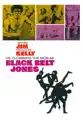Black Belt Jones summary and reviews