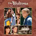 The Waltons, Season 9 cast, spoilers, episodes, reviews