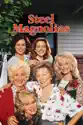 Steel Magnolias summary and reviews