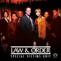 Identity (Law & Order: SVU (Special Victims Unit)) recap, spoilers