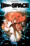 Innerspace summary, synopsis, reviews