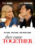 They Came Together summary, synopsis, reviews