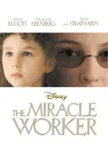 The Miracle Worker summary, synopsis, reviews