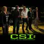 CSI: Crime Scene Investigation, Season 11