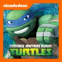 Teenage Mutant Ninja Turtles, Leo: Plan of Attack cast, spoilers, episodes, reviews
