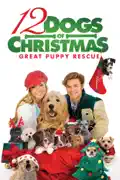 12 Dogs of Christmas: Great Puppy Rescue summary, synopsis, reviews