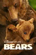 Disneynature: Bears summary, synopsis, reviews