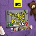 Teen Mom, Vol. 6 cast, spoilers, episodes, reviews