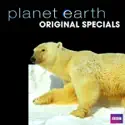Planet Earth: Original Specials cast, spoilers, episodes, reviews