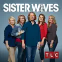 Sister Wives, Season 8 cast, spoilers, episodes, reviews