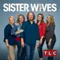 Sister Wives, Season 8