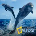 National Geographic Channel: Kids release date, synopsis, reviews
