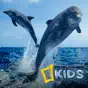 National Geographic Channel: Kids