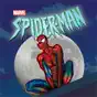Spider-Man: The Animated Series, Season 1