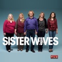 Sister Wives, Season 4 cast, spoilers, episodes, reviews