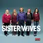 Sister Wives, Season 4