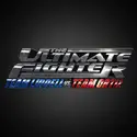 The Ultimate Fighter 11: Team Liddell vs. Team Ortiz cast, spoilers, episodes, reviews
