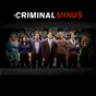 Criminal Minds, Season 8