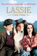 Lassie Come Home summary, synopsis, reviews