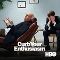 Curb Your Enthusiasm, Season 7 watch, hd download