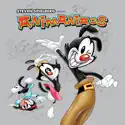 Steven Spielberg Presents: Animaniacs, Vol. 1 reviews, watch and download