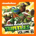 Teenage Mutant Ninja Turtles, Vol. 6 cast, spoilers, episodes and reviews
