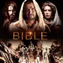 The Bible release date, synopsis and reviews