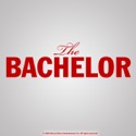 The Bachelor, Season 13 cast, spoilers, episodes, reviews