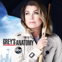 Grey's Anatomy, Season 12 cast, spoilers, episodes, reviews
