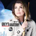 Grey's Anatomy, Season 12 watch, hd download