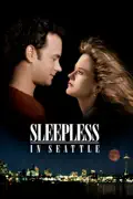 Sleepless In Seattle summary, synopsis, reviews