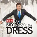 Say Yes to the Dress, Season 10 cast, spoilers, episodes, reviews