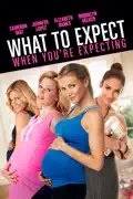 What to Expect When You're Expecting summary, synopsis, reviews