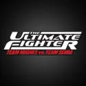 The Ultimate Fighter 6: Team Hughes vs. Team Serra watch, hd download