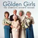 The Golden Girls, Season 7 cast, spoilers, episodes, reviews