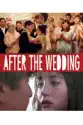 After the Wedding summary and reviews