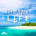 Island Life, Season 3 cast, spoilers, episodes, reviews