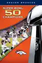 NFL Super Bowl 50 Champions Denver Broncos summary and reviews
