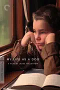 My Life As a Dog reviews, watch and download