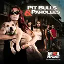 Pit Bulls and Parolees, Season 7 cast, spoilers, episodes and reviews