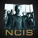 NCIS, Season 6 cast, spoilers, episodes, reviews