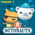 Octonauts, Vol. 1 cast, spoilers, episodes, reviews