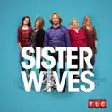 Sister Wives, Season 6 watch, hd download