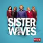 Sister Wives, Season 6