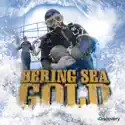 Bering Sea Gold, Season 2 watch, hd download
