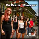 Pit Bulls and Parolees, Season 4 watch, hd download