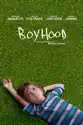 Boyhood summary and reviews