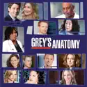 Grey's Anatomy, Season 6 cast, spoilers, episodes, reviews