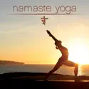 Namaste Yoga, Season 2 cast, spoilers, episodes, reviews