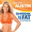 Denise Austin: Shrink Your 5 Fat Zones watch, hd download